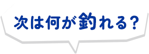 次は何が釣れる?